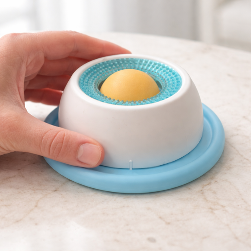 Ruhe für deinen Hund – ohne Zwang, ohne Training