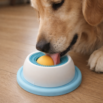 Ruhe für deinen Hund – ohne Zwang, ohne Training